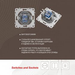 Розетка Ethernet RJ-45 без рамки Arte Milano am-202 202.45-1.silver