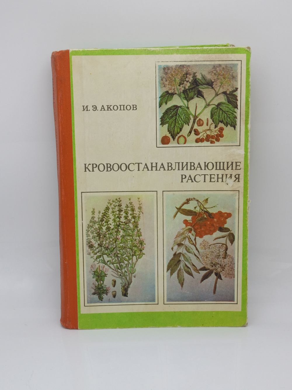Кровоостанавливающие растения