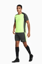 Шорты Nike Dri-FIT Academy - серый