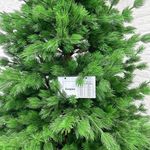 Ель искусственная «Катрин» (Литая хвоя) 230 см / 2,3 м