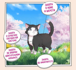 Корм для котят сухой ZILLII Kitten 2кг, с индейкой и ягнёнком