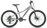 Подростковый велосипед Giant XtC Jr Disc 24 (2021)