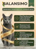 Сухой корм для стерилизованных кошек холистик Balansimo Holistic с лососем и рисом, 2 кг