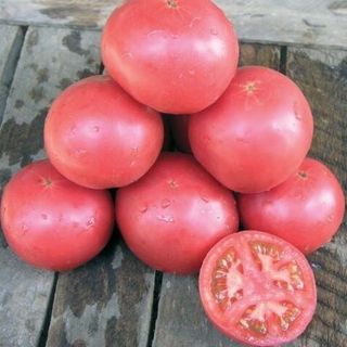 Томат Тарпан F1 10 (семян)