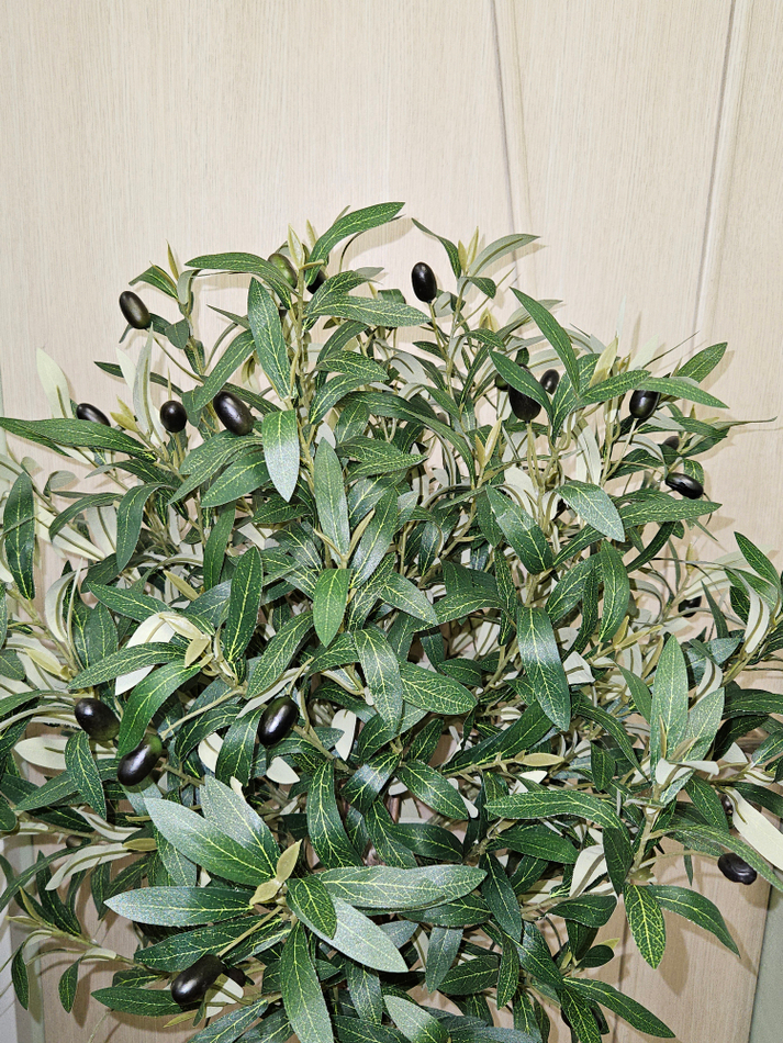 Дерево Олива шар 130см в кашпо