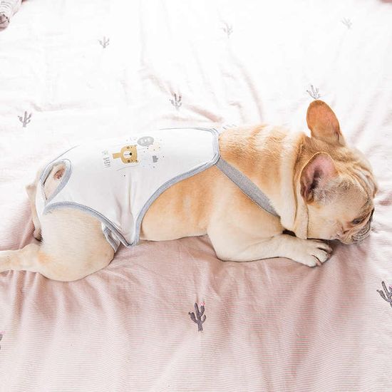 Трусы для собаки