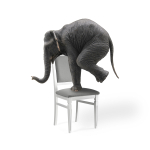 Стул деревянный Woodville Арнол серый, белый, ножки белые