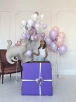 Воздушные шары №8165