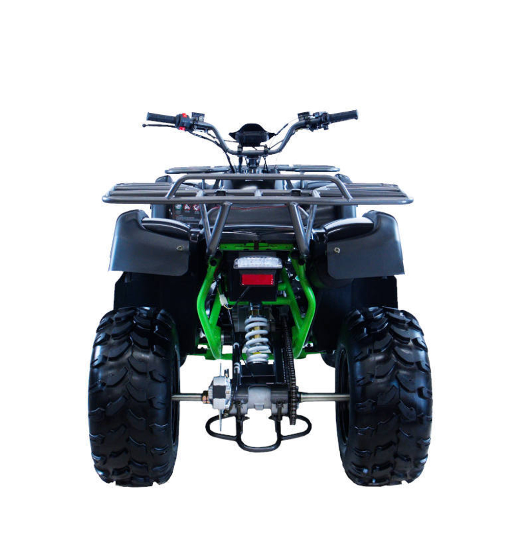 MOTAX ATV Grizlik 200 cc 4TЧерно-зеленый
