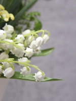 Панно на стену для интерьера