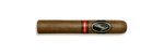 Davidoff Yamasa Robusto