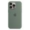 Чехол Apple iPhone 15 Pro Max Silicone Case with MagSafe Cypress
