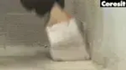 Гидроизоляция для ванной (душа), эластичная полимерная мастика Ceresit (Церезит) CL 51, 15 кг