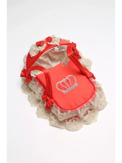 Комплект на выписку с переноской