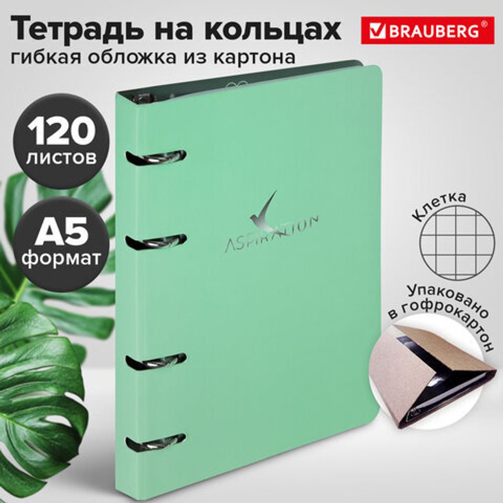 Тетрадь на кольцах А5 160х212 мм, 120 листов, картон, фольга, клетка, BRAUBERG, "Pastel", 404734