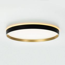 Citilux ETALON CL750401R LED RGB Светильник с пультом Чёрный+Золото