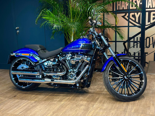 BREAKOUT 117 2024 (Blue)