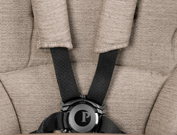 Коляска 2 в 1 Peg Perego Vivace New Culla Flex Mon Amour