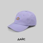  Кепка Dickies Hardwick 6 Panel Logo артикул:DK0A4TKVH181 - купить в магазине Дайс