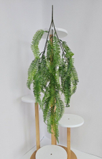 Папоротник ампельный / Арт 4258