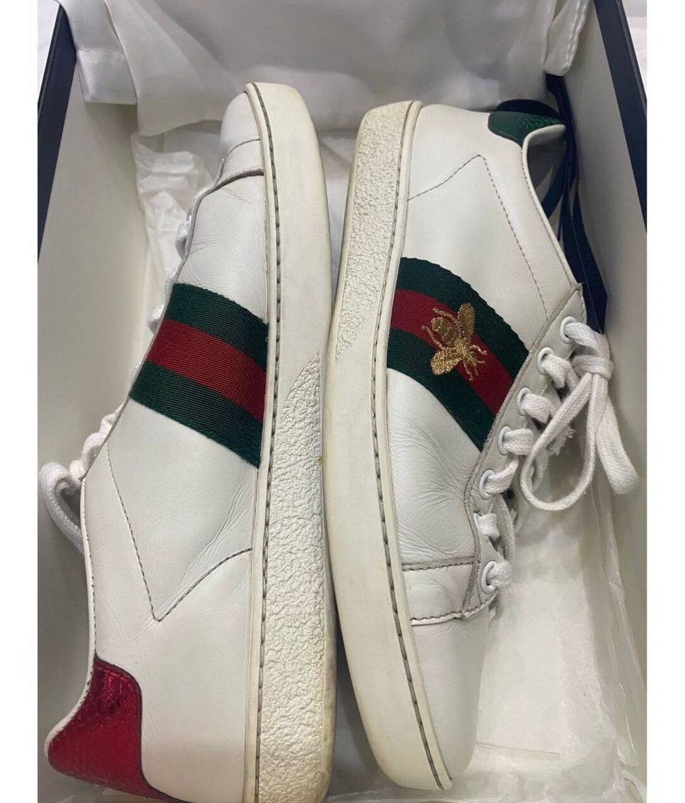 Кеды Gucci