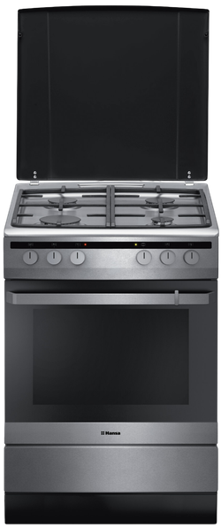 Комбинированная плита Hansa FCMX68021