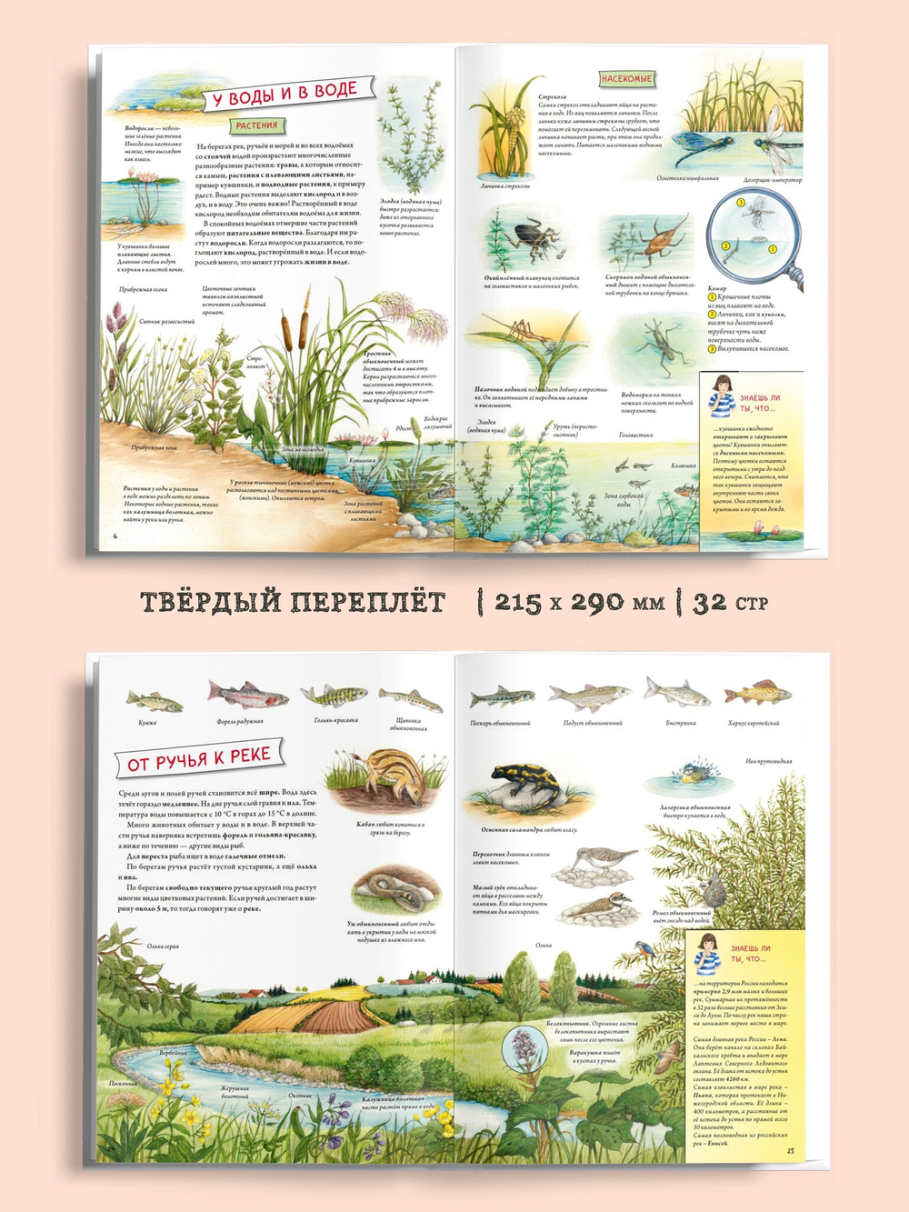 Животные и растения рек, озёр и морей. BIObook А. Толмачёва