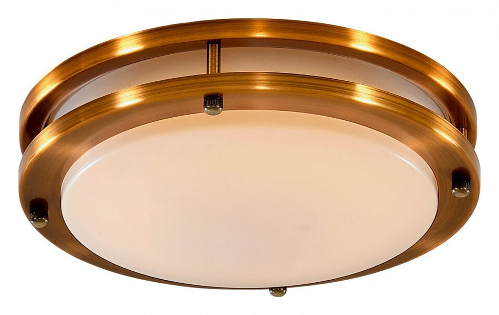 Накладной светильник Citilux CL709203N