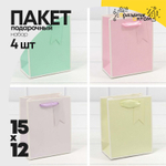 Пакет подарочный 12х15х6.7см Премиум однотонный в рамке (Микс)