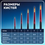 Кисти BRAUBERG PREMIUM, набор 5 шт. (синтетика, круглая № 1, 2, 3, 4, 5), блистер, 201025