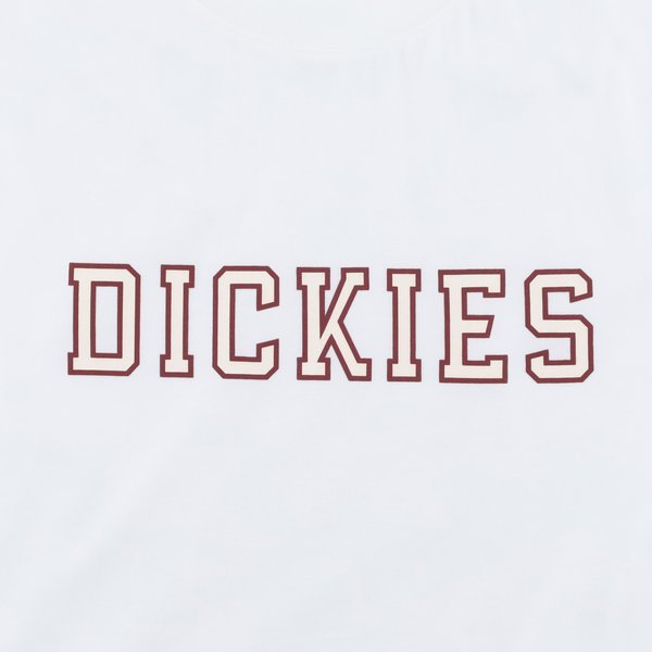 Футболка Dickies Melvern Graphic T-Shirt (white) артикул: - купить в магазине Дайс