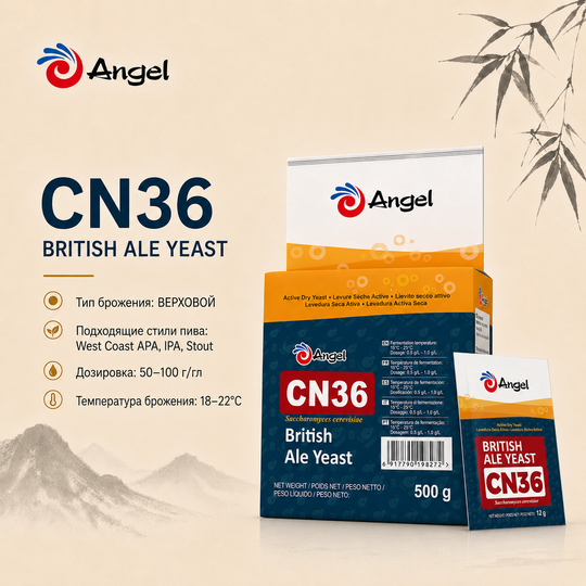 ANGEL AMERICAN ALE (CN36)