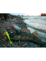 Виброхвосты съедобные LJ Pro Series LONG JOHN 3.1in (07.90)/S14 8 шт. в упак.