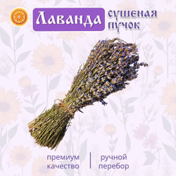 Лаванда пучок.