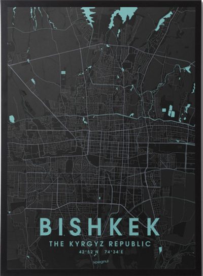 Постер Bishkek city map [black]