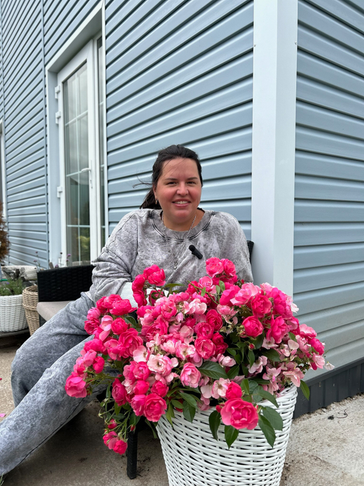 Роза Ангела С7 Закупка М57 июнь 2026