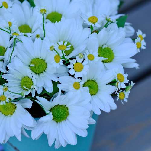 Купить Композиция-комплимент с ромашками