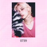 Постеры #0717 - #0753 / STRAY KIDS "DO IT" CONCEPT DO