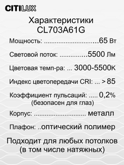 Накладной светильник Citilux CL703A61G