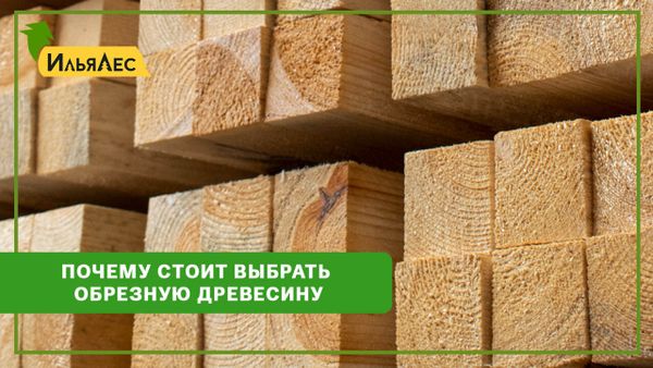 Продолжим обсуждение пилмата для строительства. Обрезной пиломатериал.