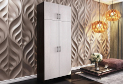 Шкаф 2-х створчатый с перегородкой BTS, венге