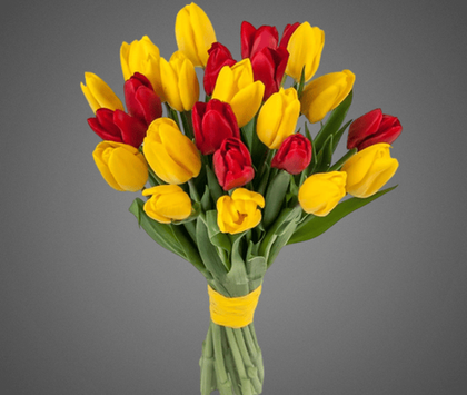 Букет из 25 тюльпанов