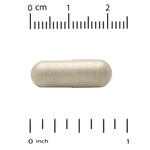 California Gold Nutrition, комплекс для мозга с L-карнитином, гинкго билоба, фосфатидилсерином и холином, 120 вегетарианских капсул