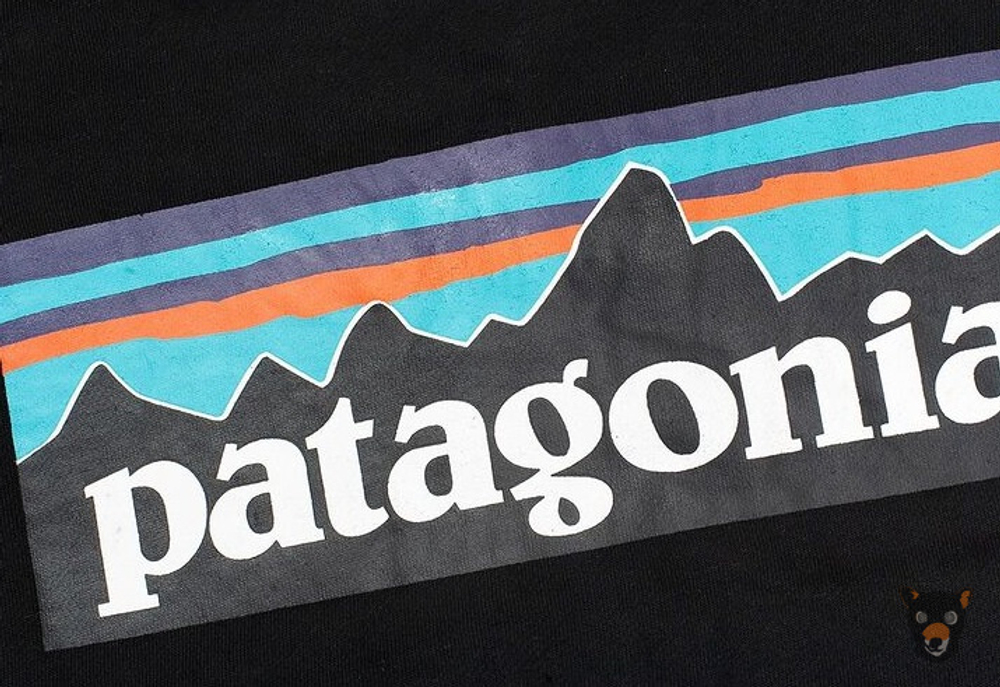 Зип-худи Patagonia