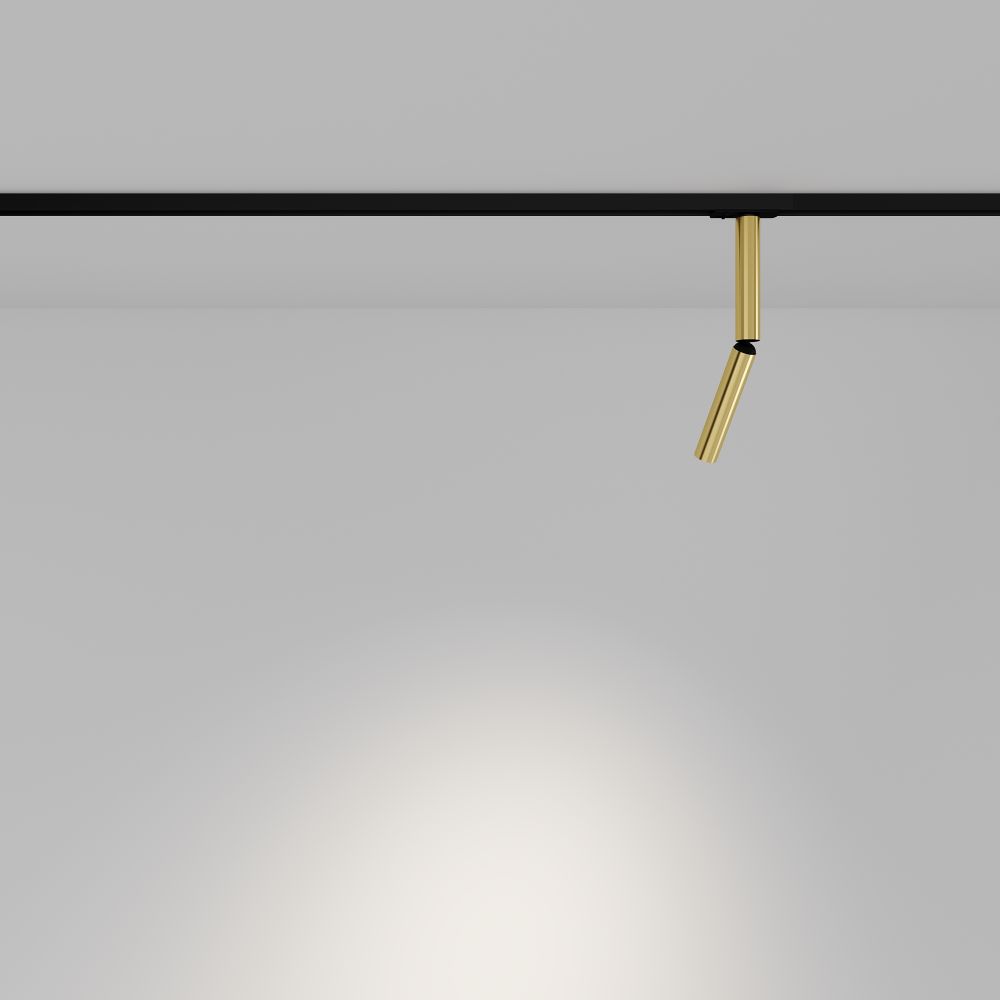 Трековый однофазный светодиодный светильник Maytoni Unity   TR142-1-6W3K-BS