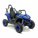 Багги Green Camel Намиб T008 (48V 1200W R6 Дифф) аморт
