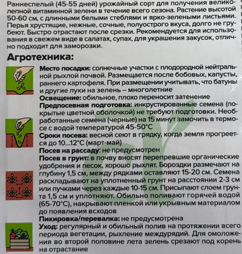 Лук  на Зелень Белый Пучок 0,3 г