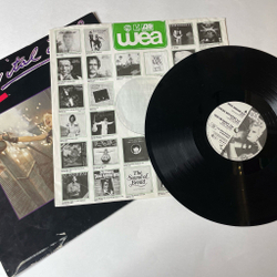 Винтажная виниловая пластинка LP Billy Idol Vital Idol (Germany 1985)