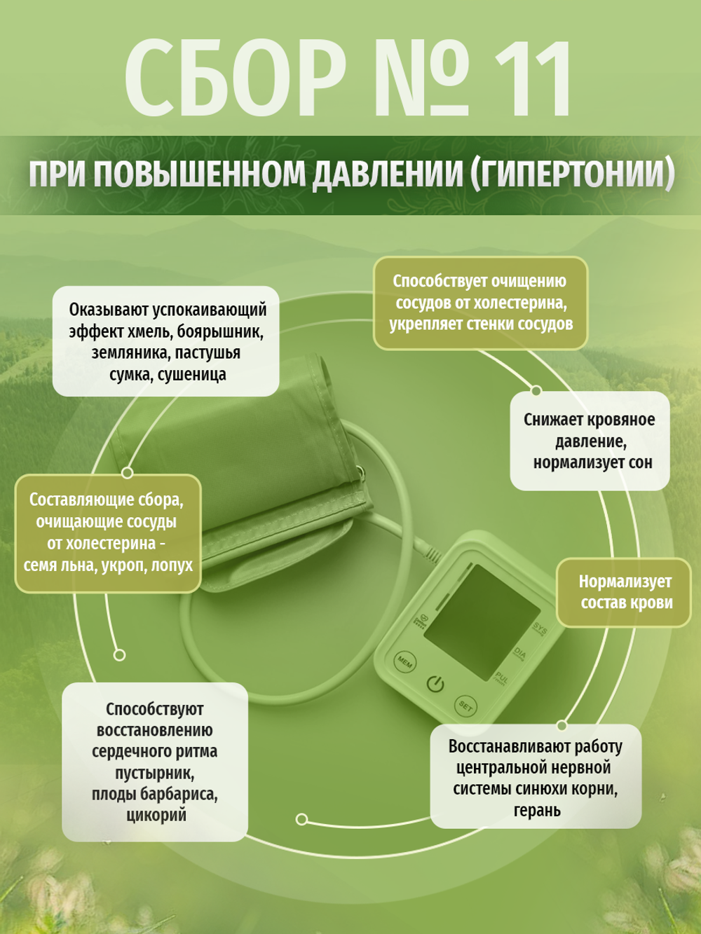 Сбор № 11 При повышенном давлении (гипертонии)