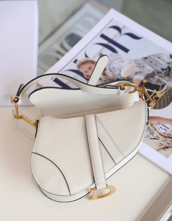Christian Dior Saddle Bag 21 cm